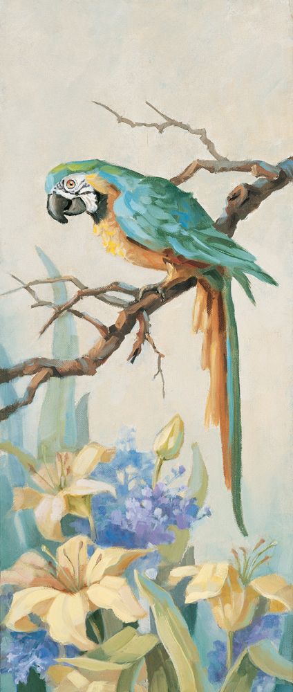 Parrot Looking Down